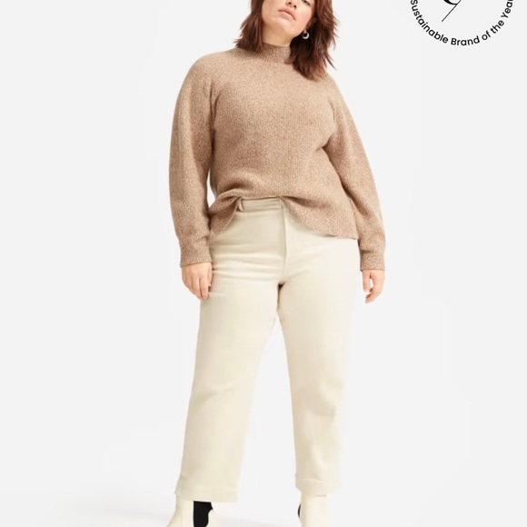 Everlane Pants - Everlane The straight leg crop pants size 6 in Sandstone New with tags